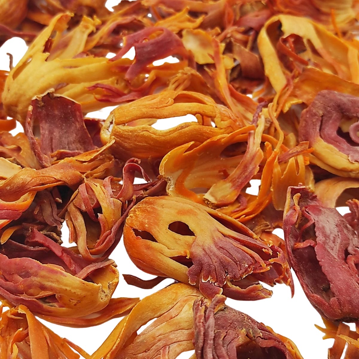 Vanissa Muscade Noix et Macis Muskatnuss mit Muskatnussblüten im Glas