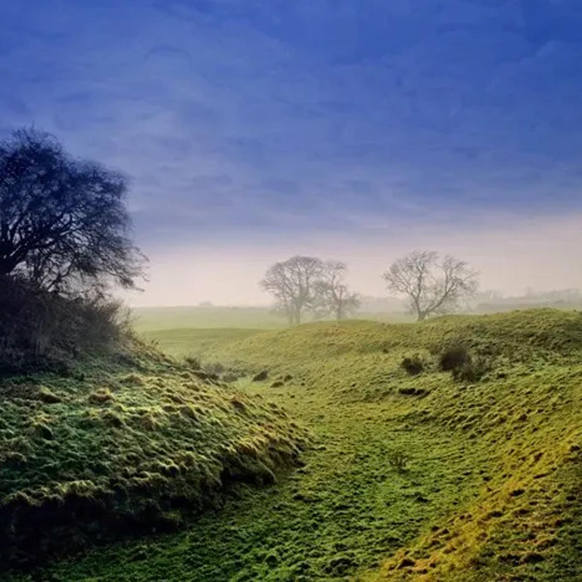 Home County Candle Luxus Duftkerze Bedfordshire Honig & Nektarfrüchte 200g