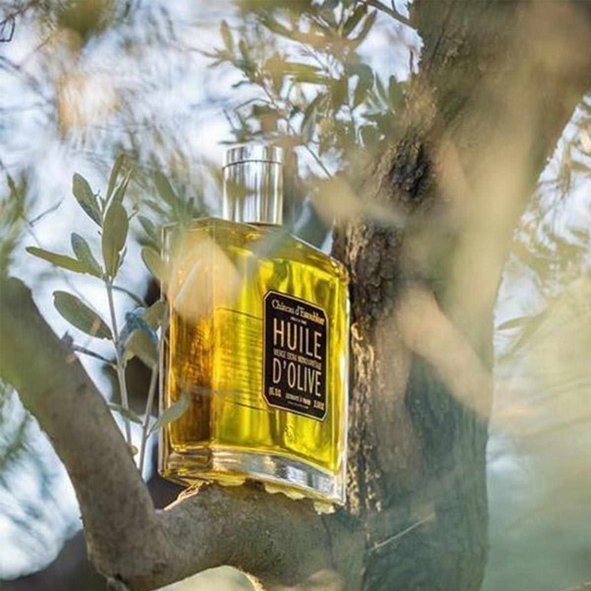 Château d’Estoublon Bouteillan: Reinsortiges natives Olivenöl extra, 750ml Flacon