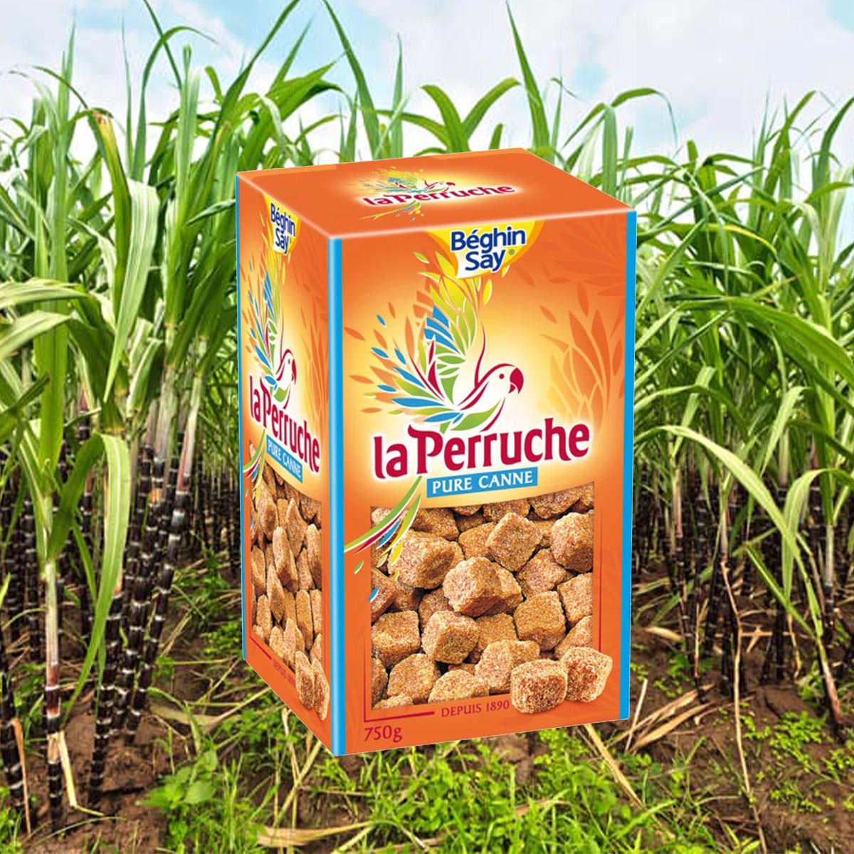 La Perruche Brauner natürlicher Würfel Rohrzucker 5 x 750 Gramm