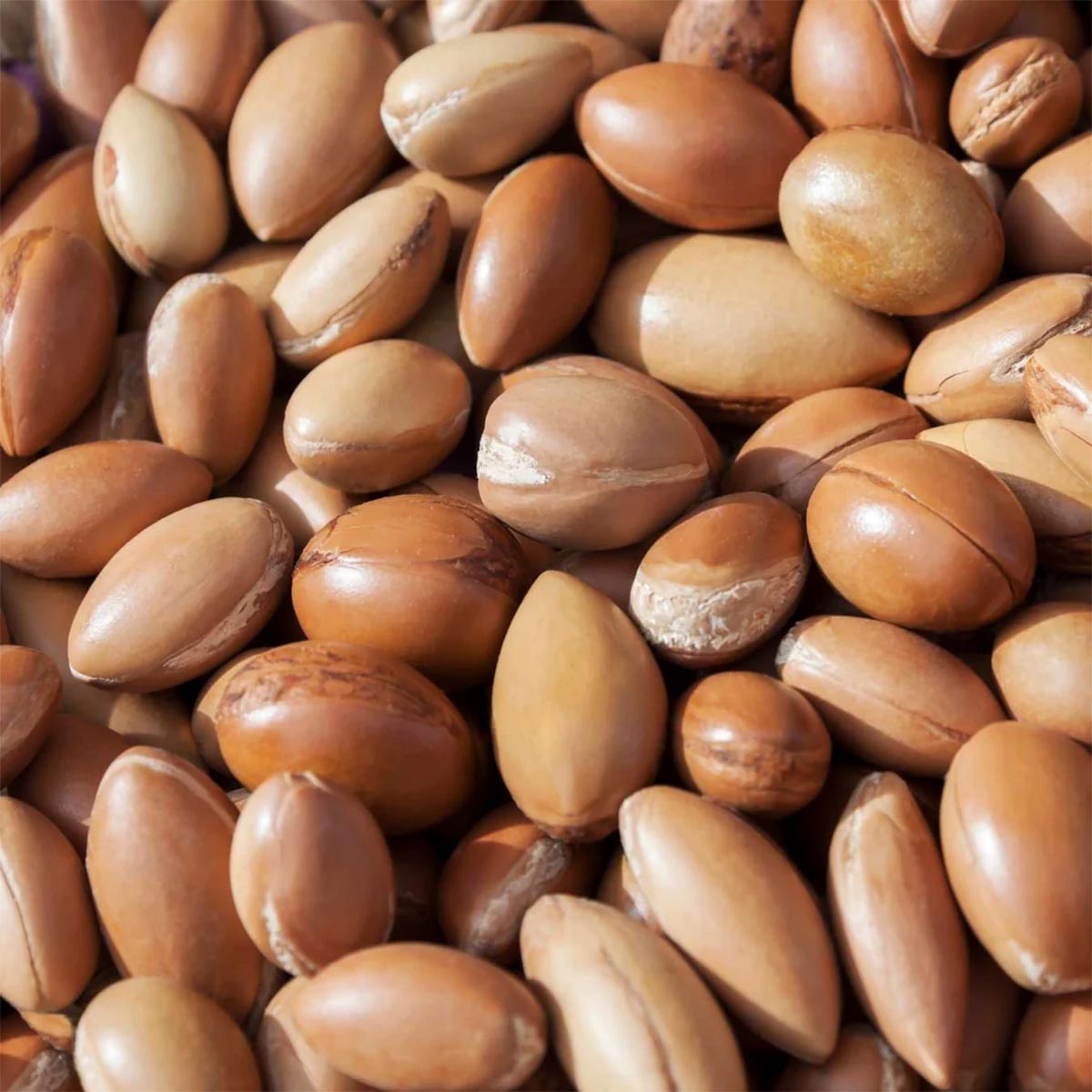 Le Petit Olivier Pflegender Lippenbalsamstift mit Arganöl, 4 g