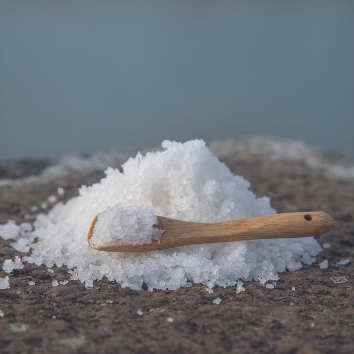 TRAD Y SEL Fleur de Sel aus Guérande - Feines Meersalz, 125 Gramm