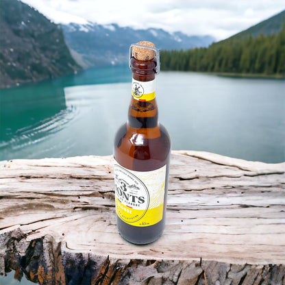 3 Monts Bière de Flandre helles obergähriges Starkbier 3 x 0,75 Ltr. 8,5 %