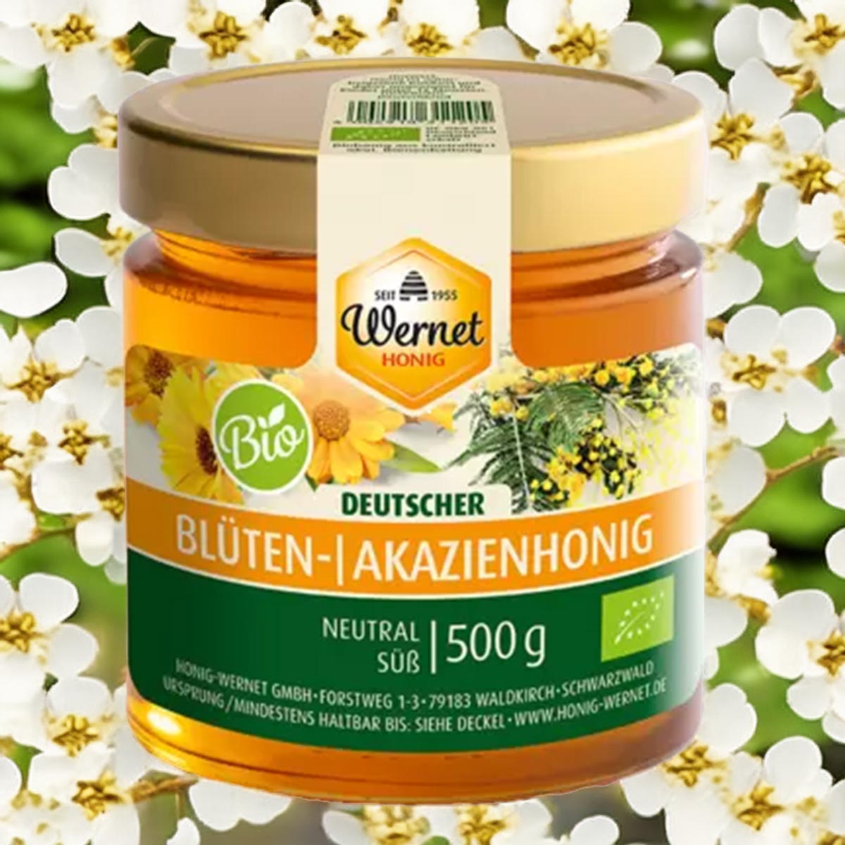 Honig Wernet Bio deutscher Blüten- und Akazienhonig 500 g im Glas, goldfarbener Honig vor Blütenhintergrund, neutral süß, mit Bio-Siegel und Originaletikett