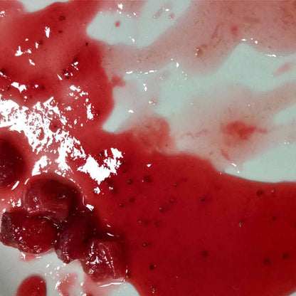 SABIBOU Bio Erdbeer Extra Konfitüre Confiture extra BIO Fraise