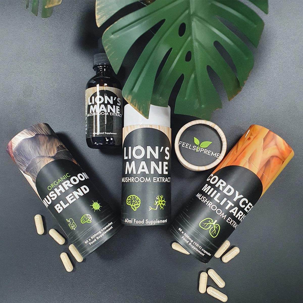 Feel Supreme Pilzmischung – 5 Pilz-Extrakte in 60 Kapseln für Ihr tägliches Wohlbefinden