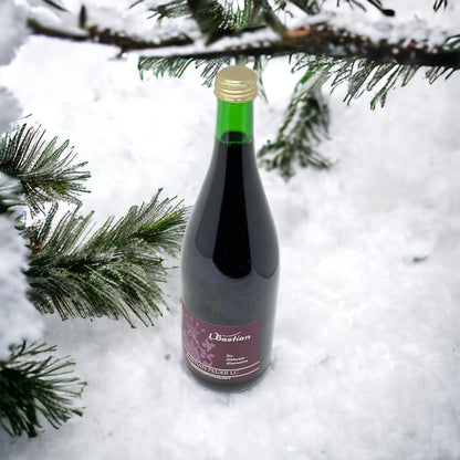Weingut L. Bastian "Bastian Feuer LC" Roter zuckerfreier Glühwein LC 1 Liter - Alkoholgehalt: 10,0 % vol