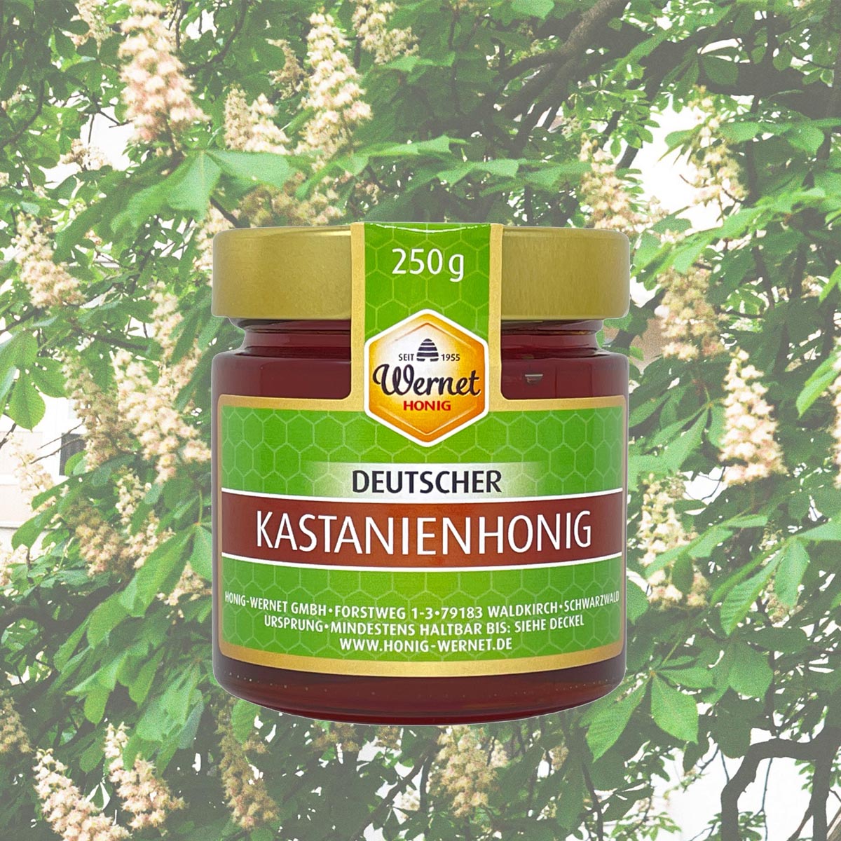 Honig Wernet Traditionsimker im Schwarzwald Deutscher Kastanienhonig cremig im 250g