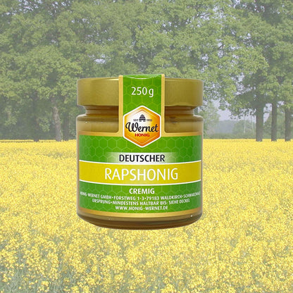 Honig Wernet Traditionsimker im Schwarzwald Deutscher Rapshonig cremig im 250g Glas