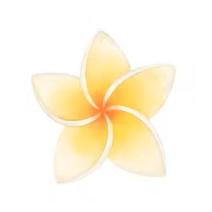 QKnatur MONOI Sinnliches Massageöl. Für alle Körpermassagen 200ml