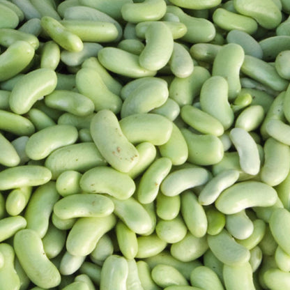 d'aucy Flageolets Grüne Bohnenkerne Fein 12 x 400 Gramm Dose