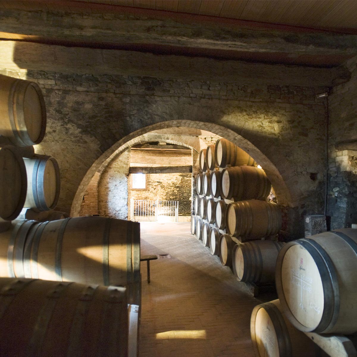 Vietti Barbera d’Asti DOCG ‚La Crena‘ 2020 - Feinster Rotwein aus Piemont  - Bio