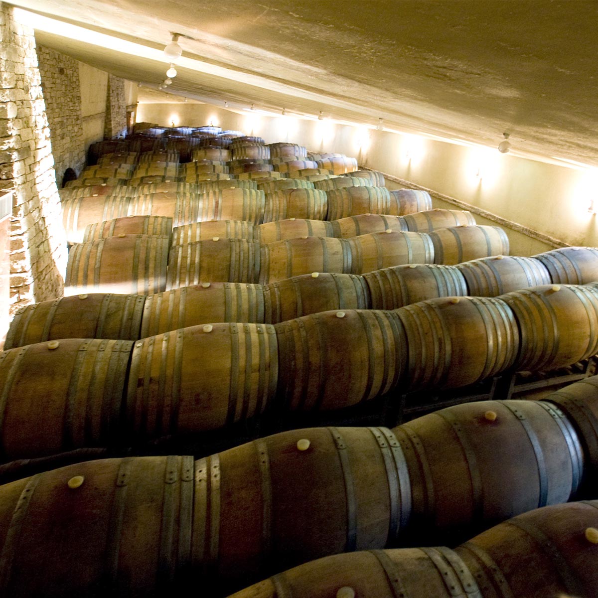 Vietti Barbera d’Asti DOCG ‚La Crena‘ 2020 - Feinster Rotwein aus Piemont  - Bio