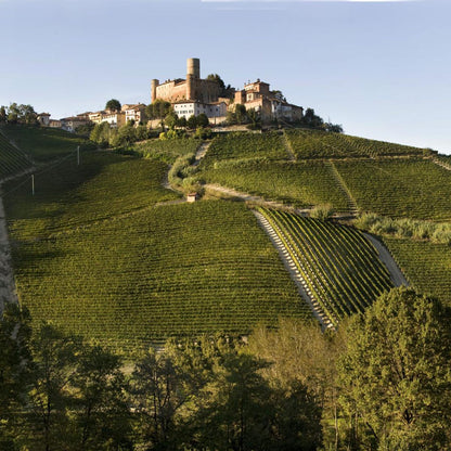 Vietti Barbera d’Asti DOCG ‚La Crena‘ 2020 - Feinster Rotwein aus Piemont  - Bio