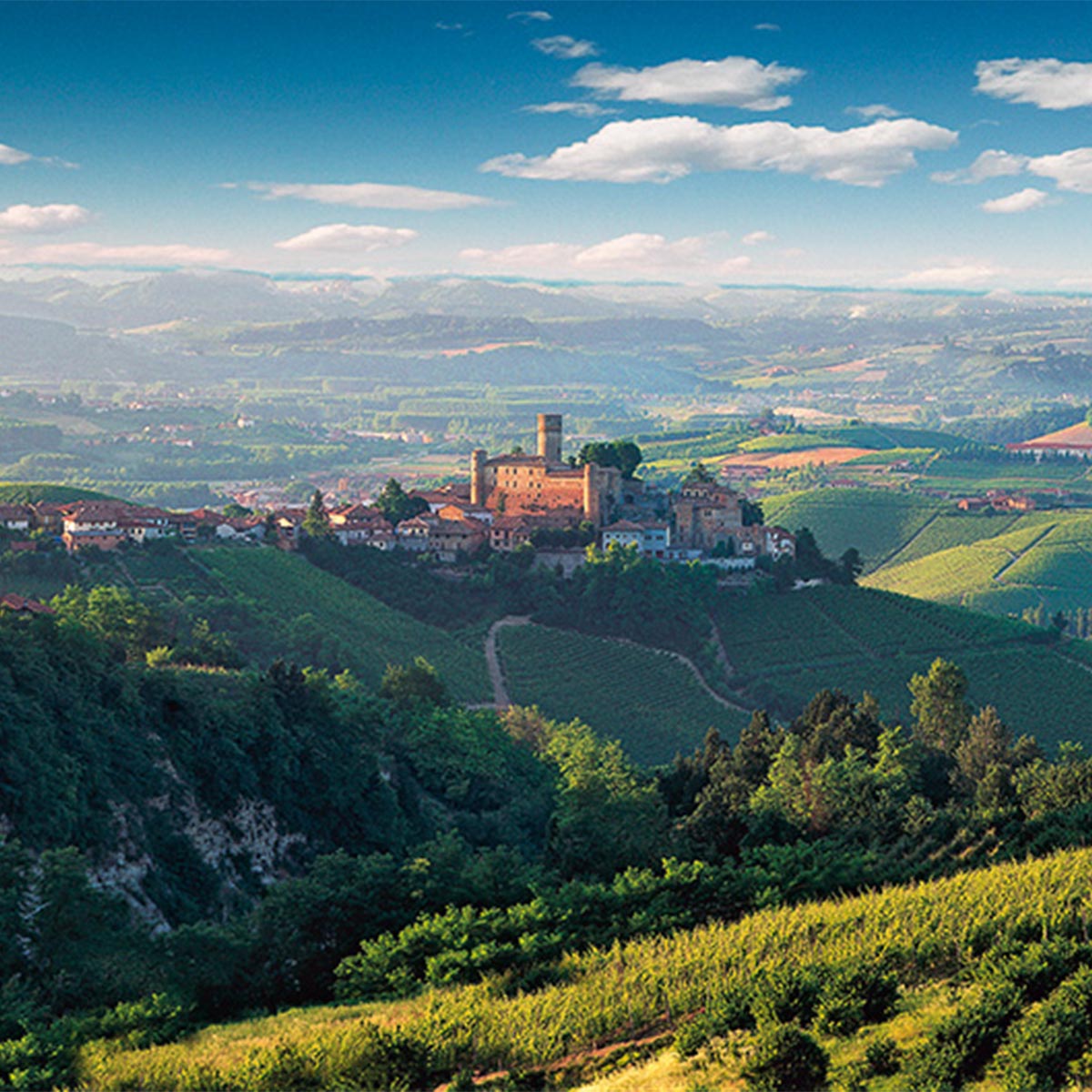 Vietti Barbera d’Asti DOCG ‚La Crena‘ 2020 - Feinster Rotwein aus Piemont  - Bio