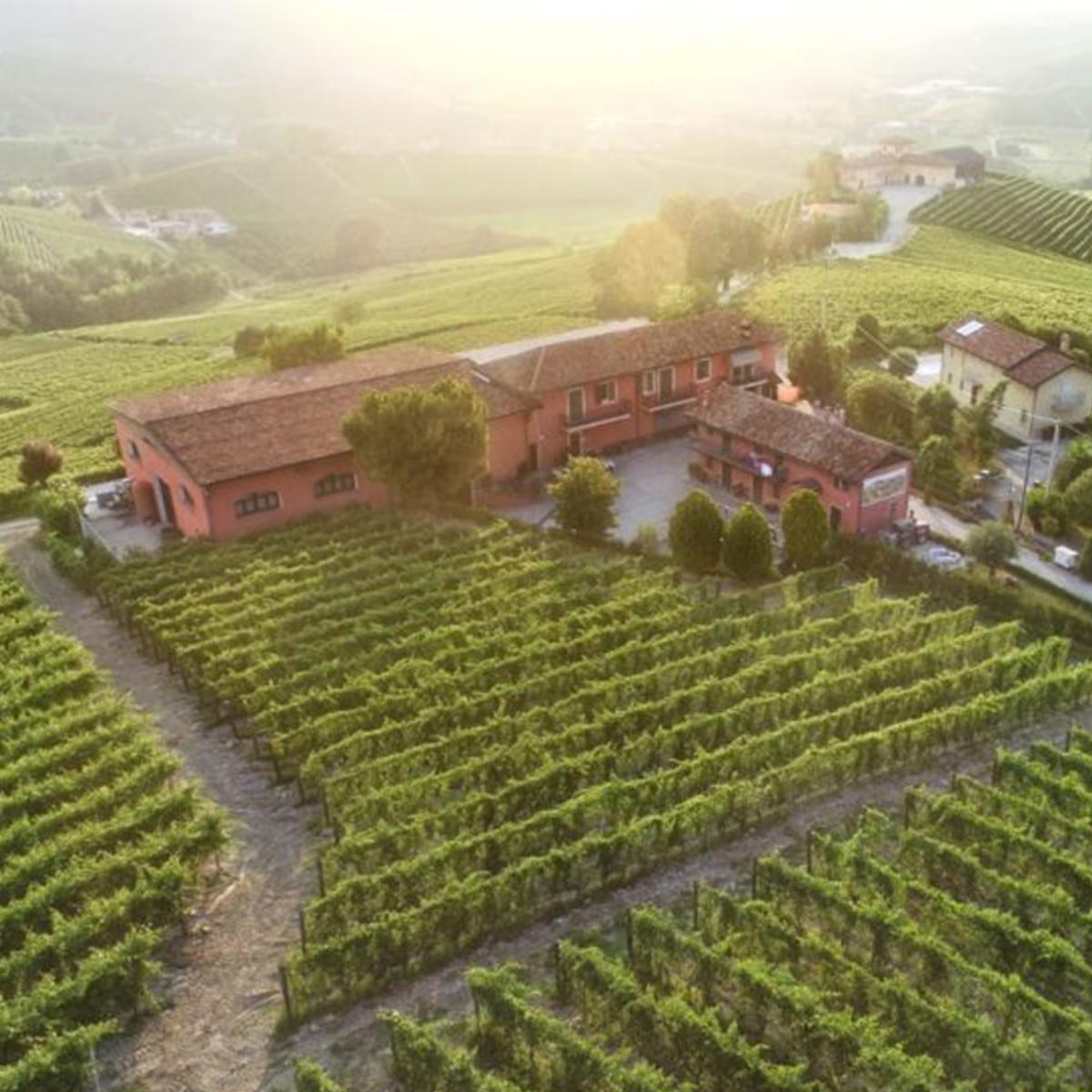 SOBRERO Barbera d’Alba D.O.C.G. Selectio 2020 aus der Gemeinde Castiglione Falletto