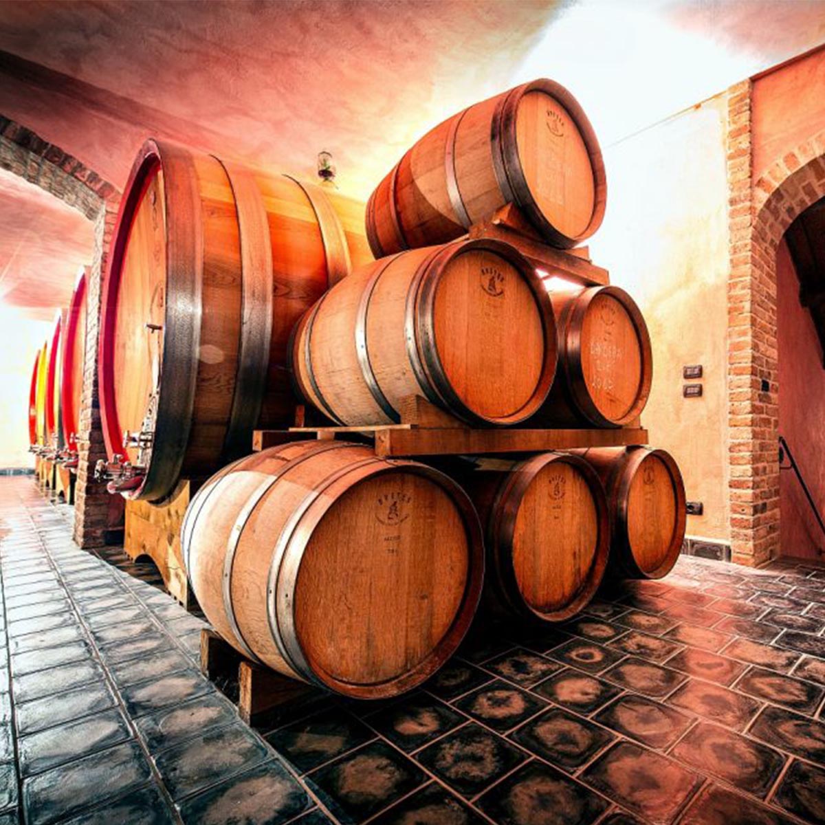 SOBRERO Barbera d’Alba D.O.C.G. Selectio 2020 aus der Gemeinde Castiglione Falletto