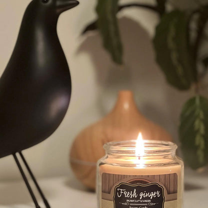 Bacana Candle handgefertigte Duftkerzen dekoratives Glas ca. 100 Stunden Brenndauer