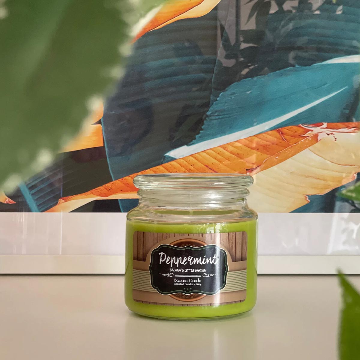 Bacana Candle handgefertigte Duftkerzen dekoratives Glas ca. 100 Stunden Brenndauer