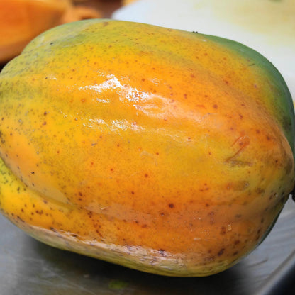 Conservas La Receta Papaya Konfitüre 250g: Exotischer Fruchtaufstrich aus Spanien