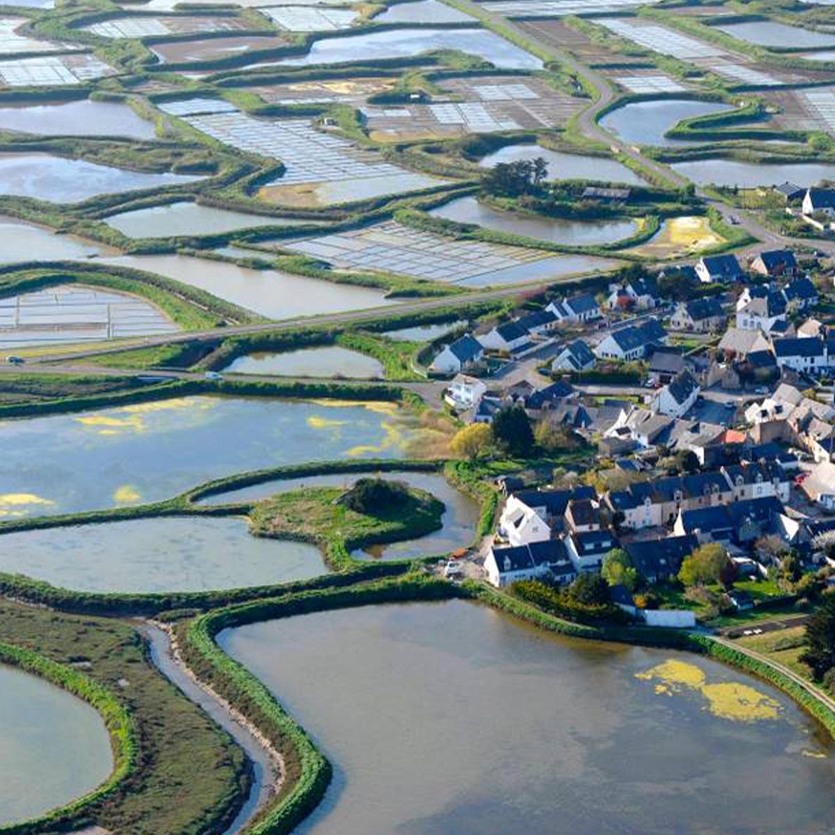 Trad Y Sel Grobes Meersalz Gros Sel de Guérande 5 kg Sack