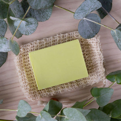 BOTANIC SPA Schafmilch Seife Geschenkbox – Handgefertigt, Eukalyptus & Zitronengras