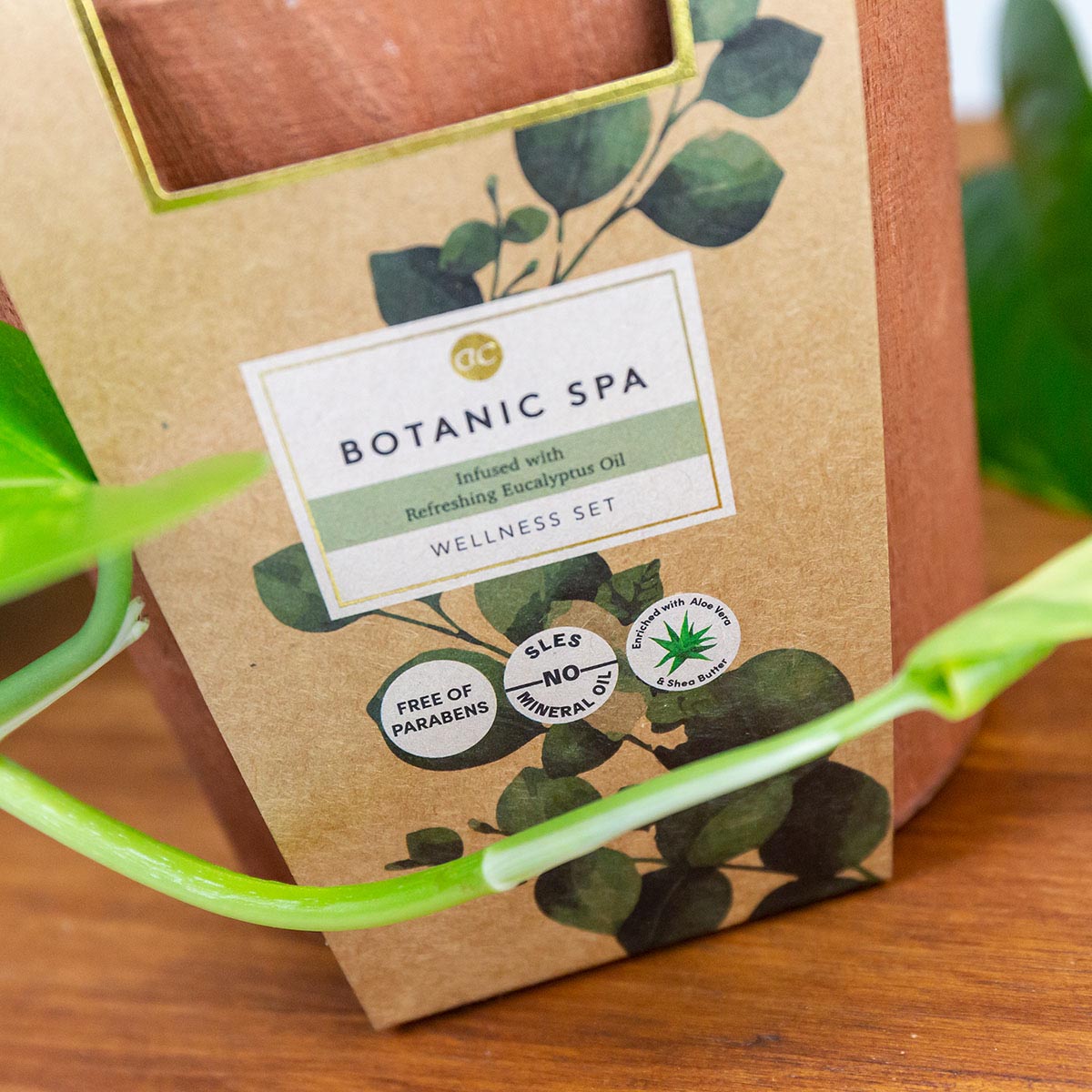 BOTANIC SPA Badeset mit Holzeimer – Duschgel, Bodylotion & Seife im Geschenkset