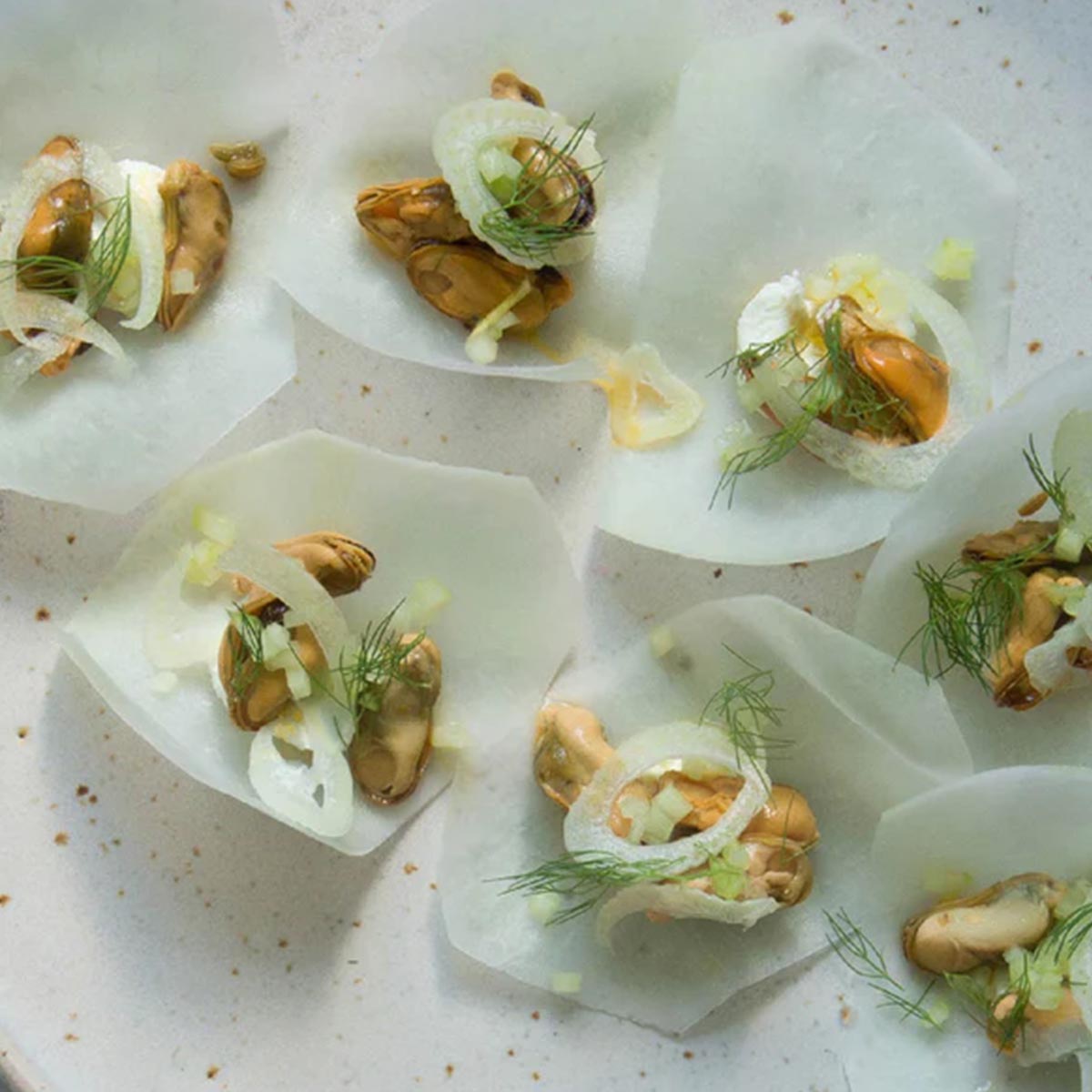 FANGST BLÅMUSLING No. 1  marinierte Limfjord Miesmuscheln mit Dill und Fenchel