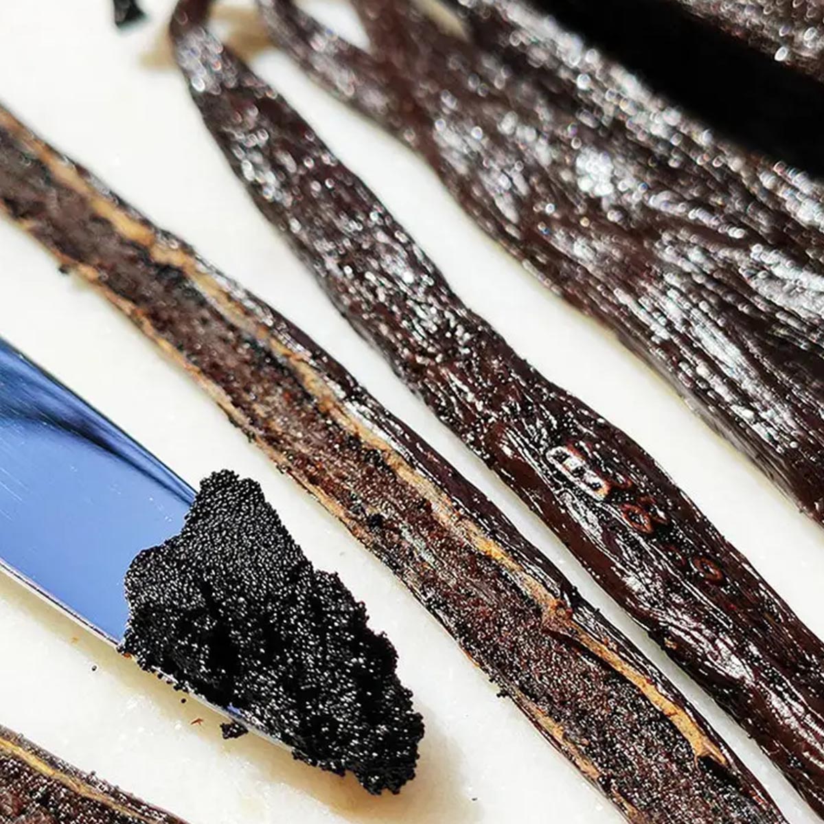 Vanissa Bio-Gourmet-Bourbon-Vanilleschoten: Exquisite Qualität aus Madagaskar