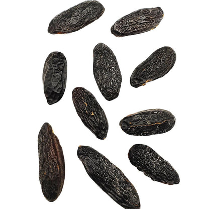 Vanissa Getrocknete Tonkabohnen aus dem Amazonasgebiet: Exotische Aromen