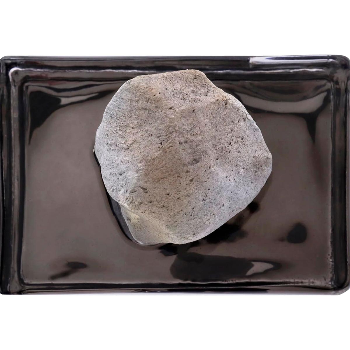 Leonardo Essenza Home Fragrance Diffuser Stein Schwarz einzigartige Duftkombination