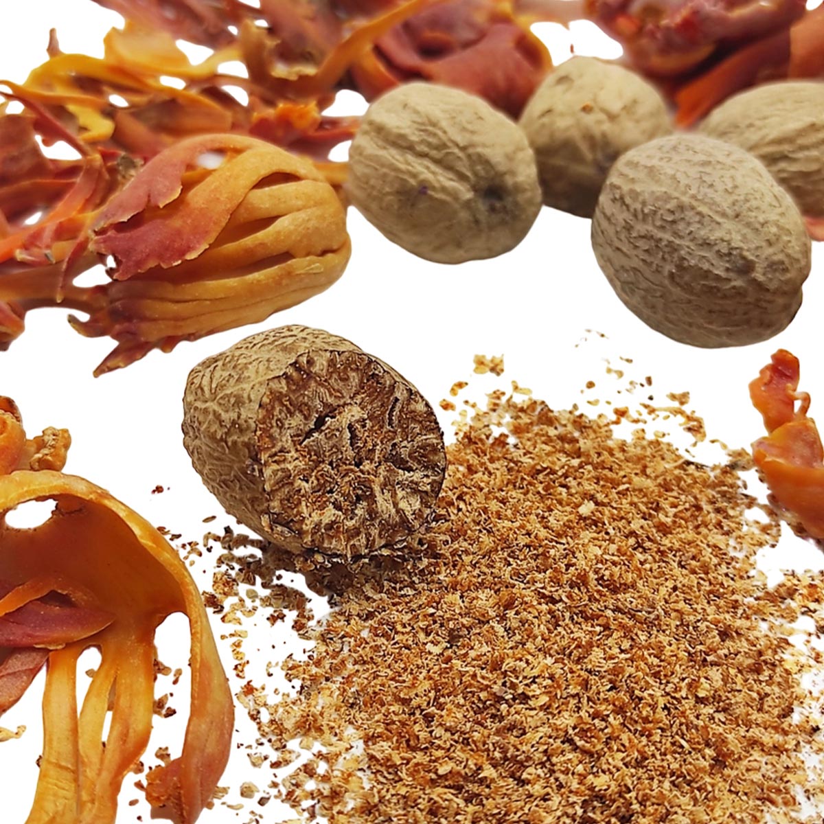 Vanissa Muscade Noix et Macis Muskatnuss mit Muskatnussblüten im Glas