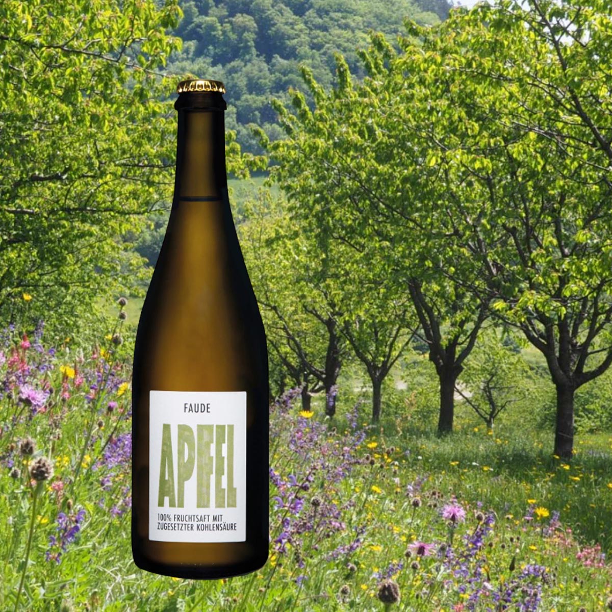 Faude Feine Brände Apfel 100% Fruchtsaft mit zugesetzter Kohlensäure Regionales Obst