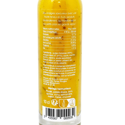 Domaine des Terres Rouges Vinaigre Essig mit Ananasbrei und frischer Minze 10 cl