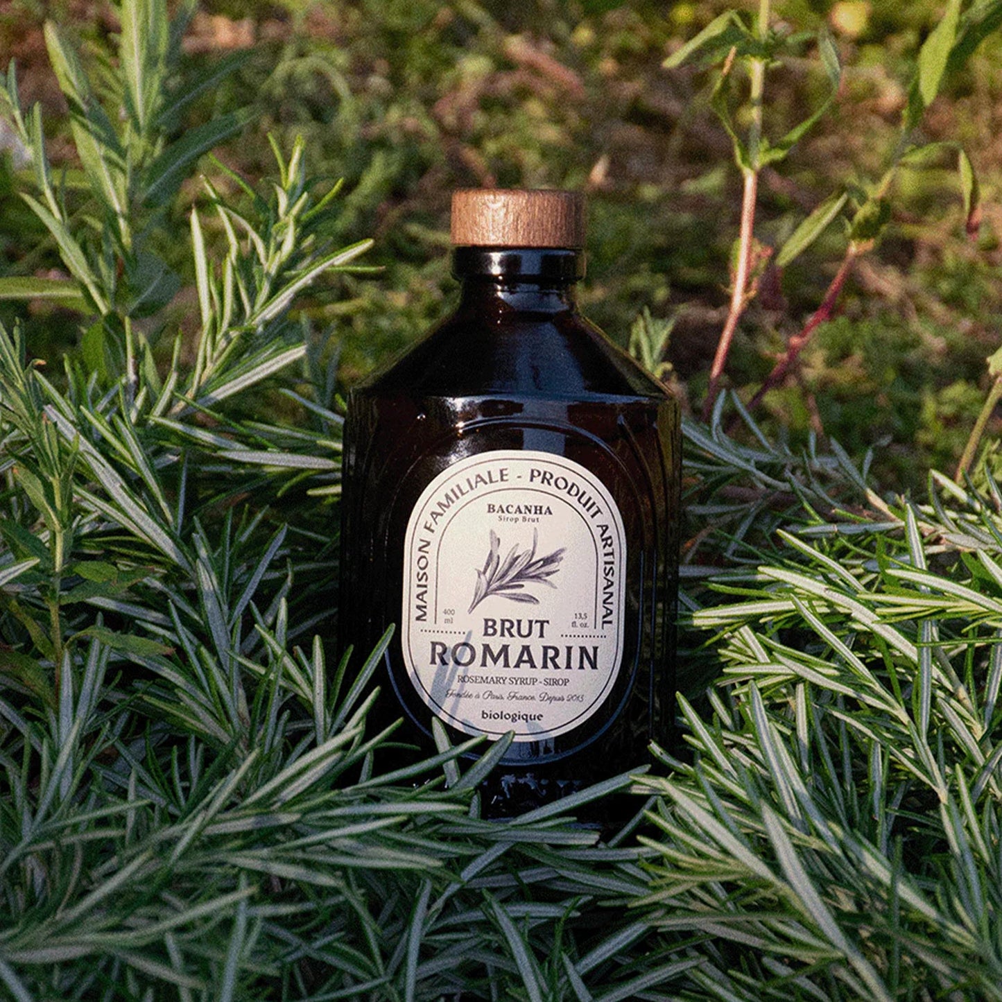 Bacanha Sirop Brut de Romarin Bio – französischer Bio-Rosmarin-Sirup in Glasflasche, arrangiert in frischem Rosmarin im Freien