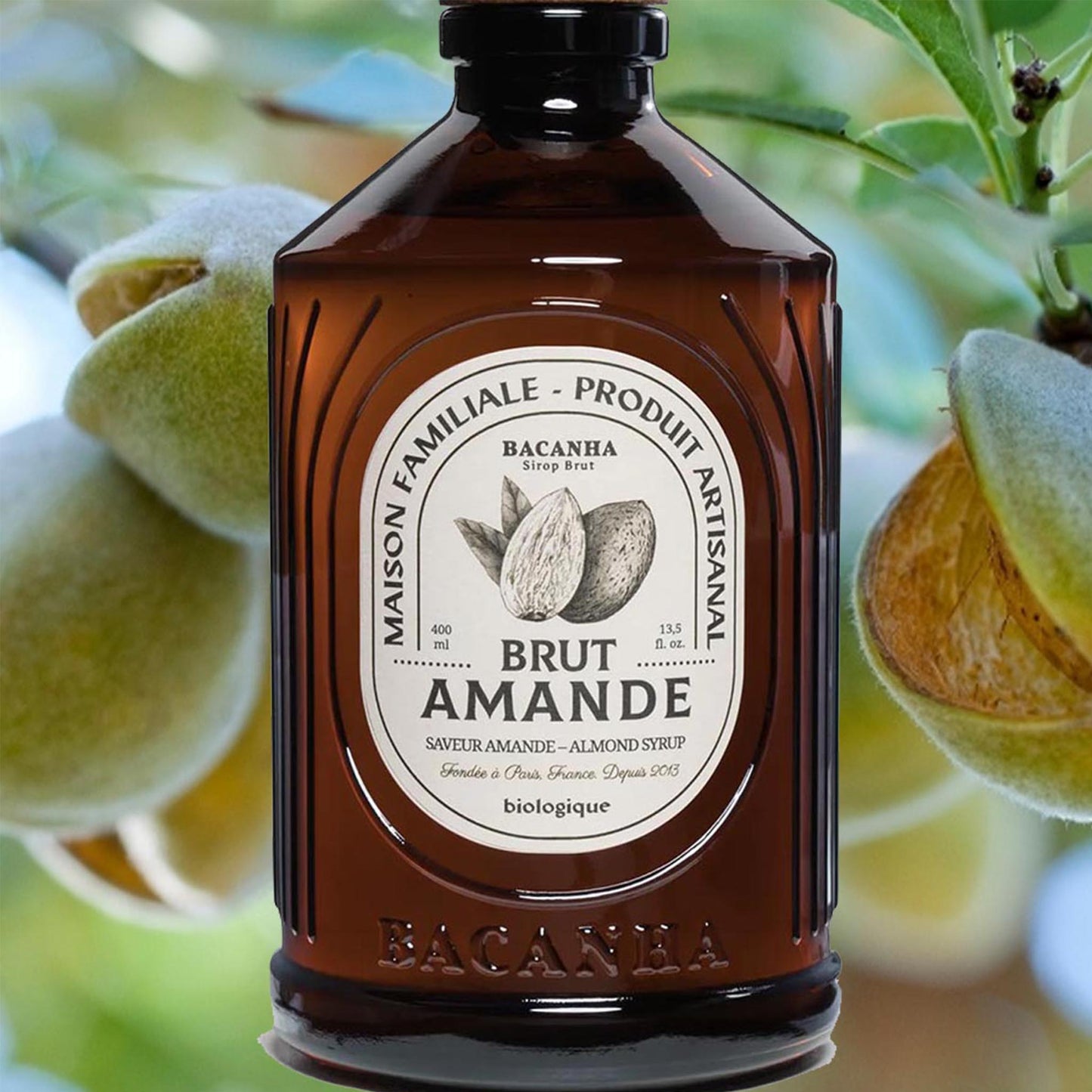 Bacanha Sirop Brut de Amande Bio Mandel Sirup – französischer Bio-Mandelsirup aus Bio-Rohrzucker in Glasflasche, ideal für Getränke und Desserts