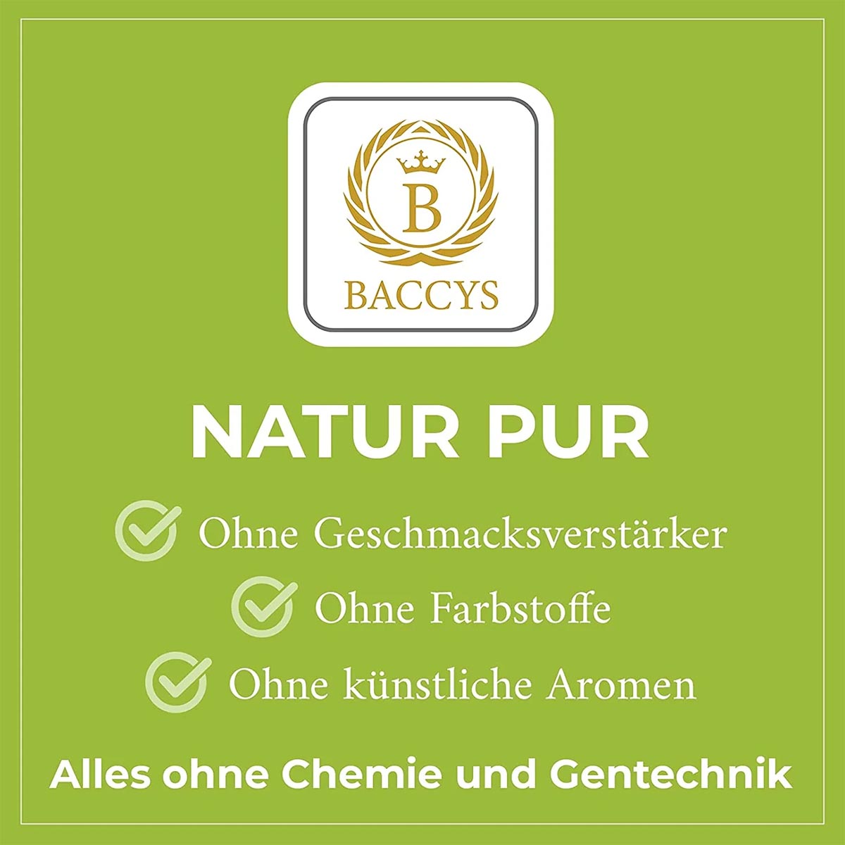 Die BACCYS Gewürzmischung große Auswahl an Geschmacksrichtungen und Größen