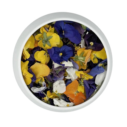 Vanissa Sonnenwende - Essbare Stiefmütterchen Blüten im Glasbehälter