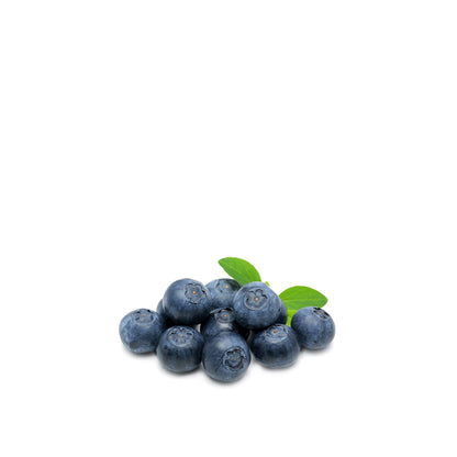 Bonne Maman Heidelbeere  Entdecke den Geschmack Frankreichs - Fruitée Intense 335g