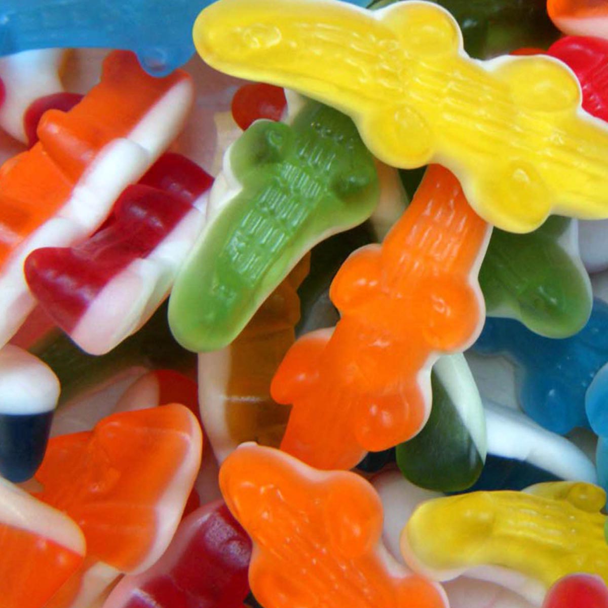 Haribo Croco XXL - Fruchtige Krokodil-Gummibärchen, 60 Stück, 1,6 kg Packung