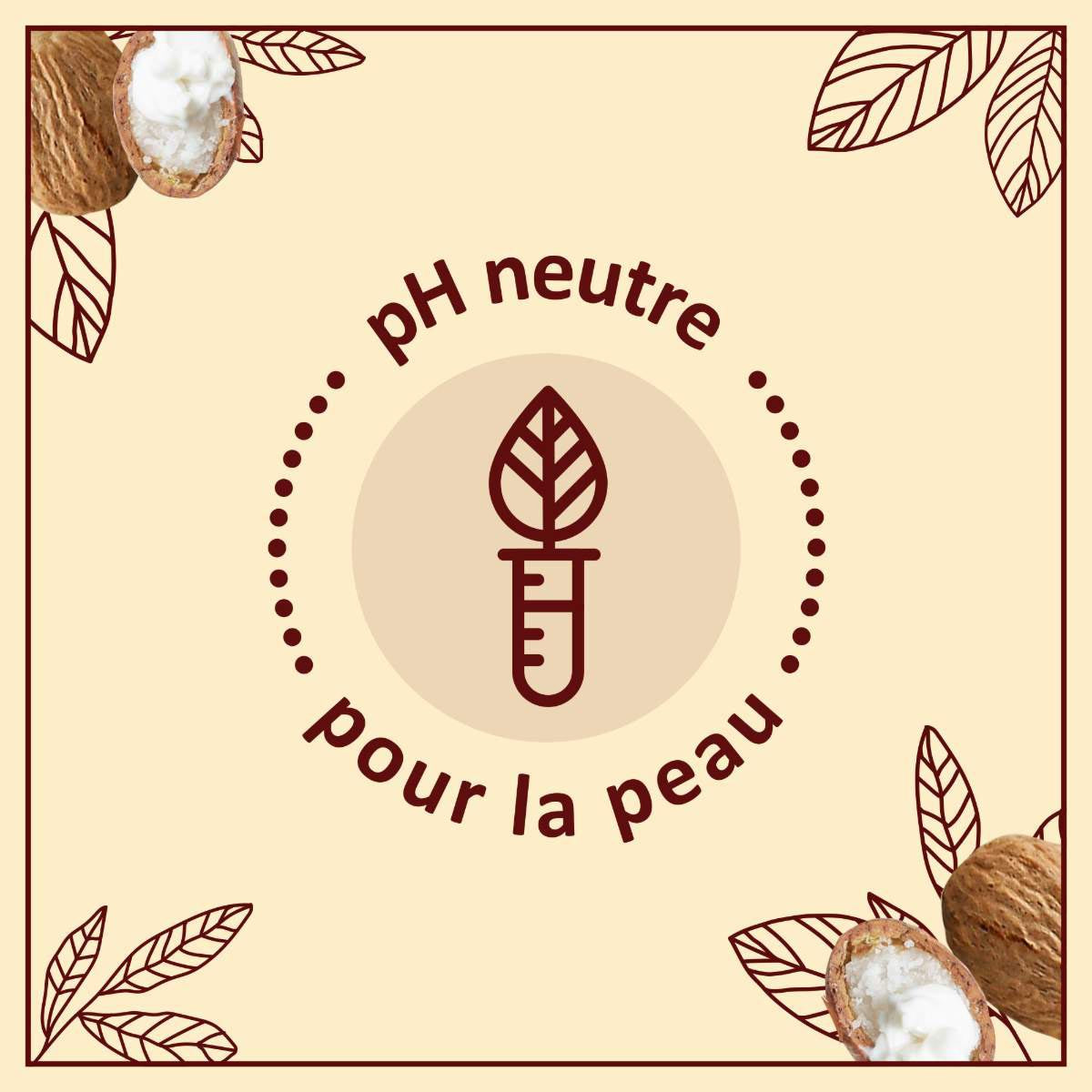 Le Petit Marseillais Lippenpflege Stick mit Shea, Aloe Vera und Bienenwachs 4,9 g aus Frankreich