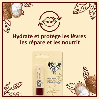 Le Petit Marseillais Lippenpflege Stick mit Shea, Aloe Vera und Bienenwachs 4,9 g aus Frankreich