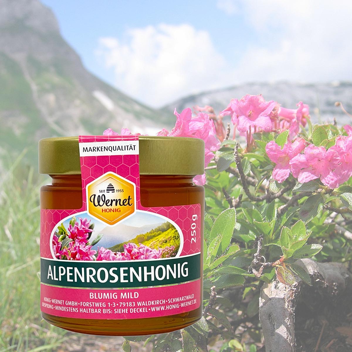 Honig Wernet Traditionsimker im Schwarzwald flüssiger Alpenrosenhonig im 250g Glas
