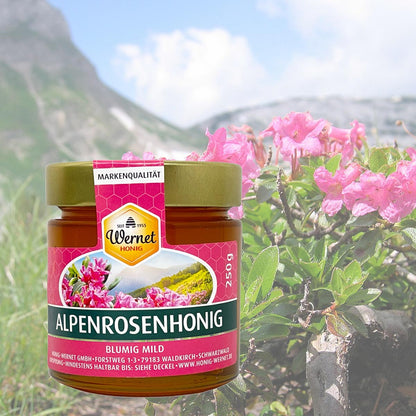 Honig Wernet Traditionsimker im Schwarzwald flüssiger Alpenrosenhonig im 250g Glas