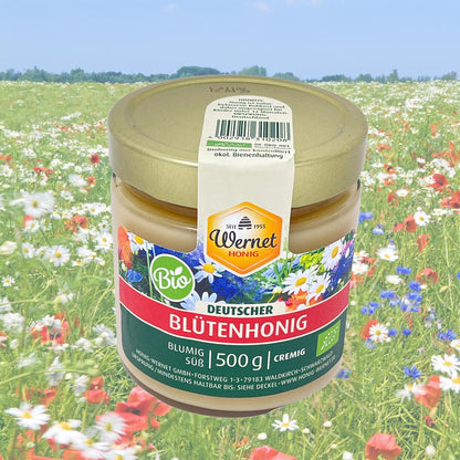 *MHD 16.02.2024* Honig Wernet Traditionsimker im Schwarzwald Deutscher BIO-Blütenhonig im 500 g Glas