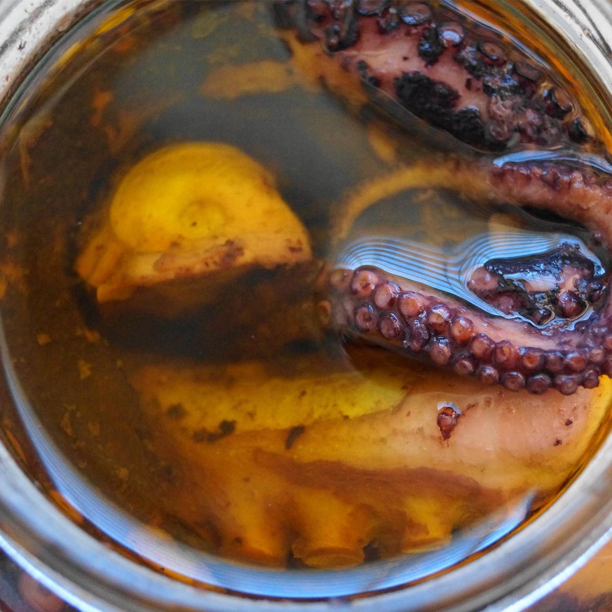 Conservas La Receta Großer Oktopus in Nativem Olivenöl Extra: Authentischer Genuss