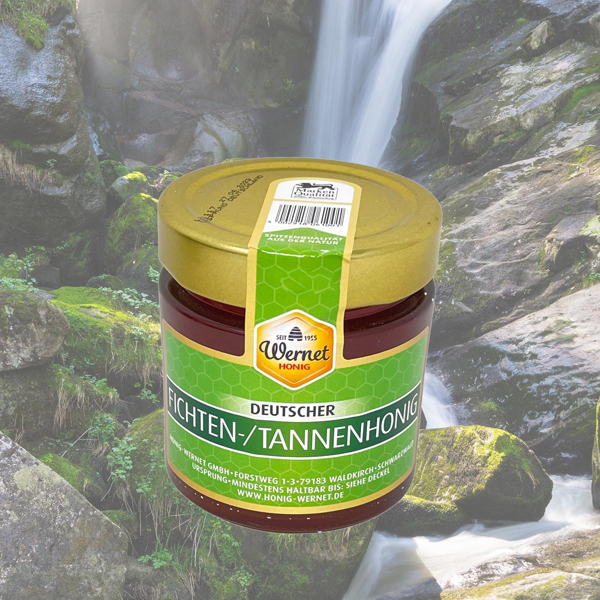 Honig Wernet Traditionsimker im Schwarzwald Deutscher Fichten-/Tannenhonig im 500g