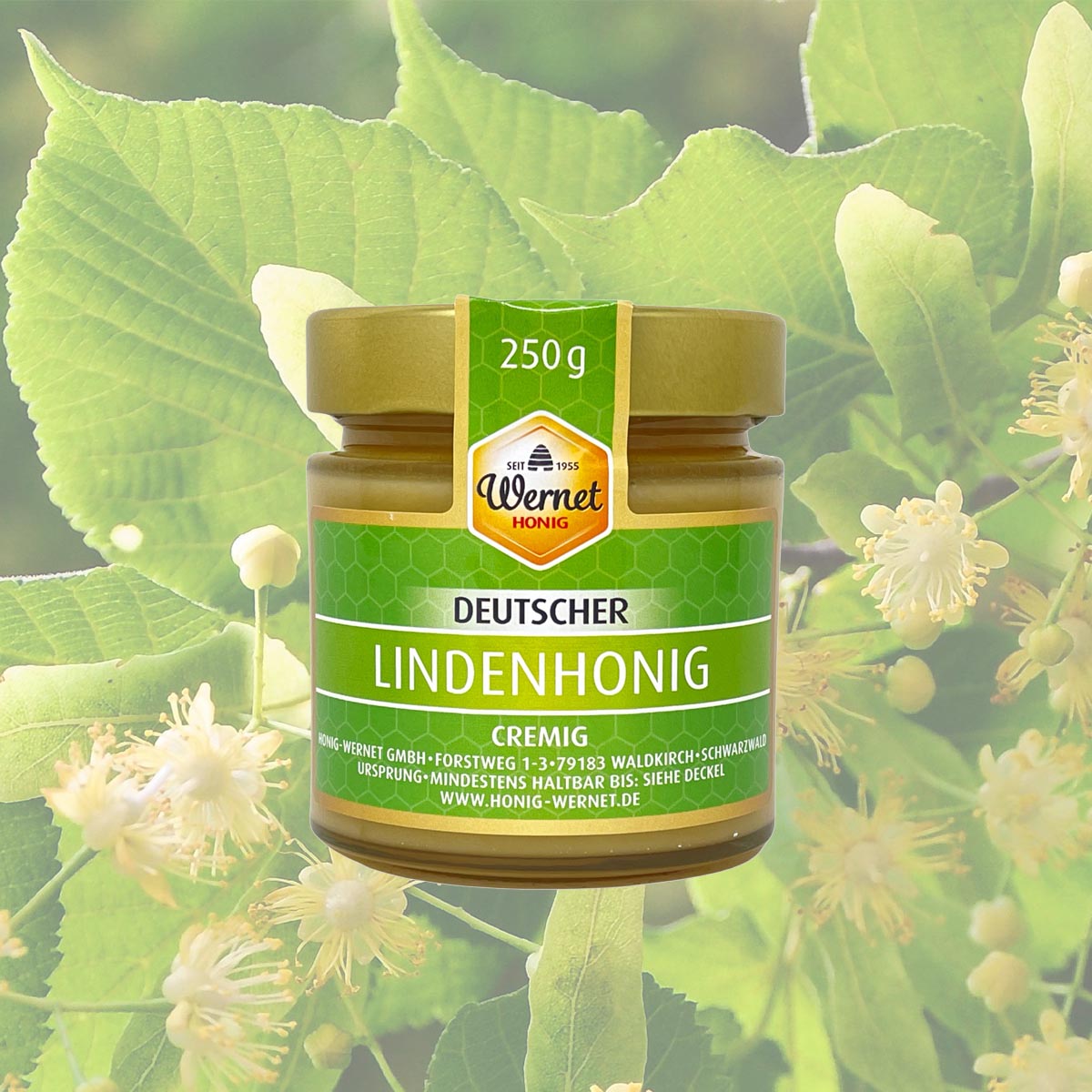 Honig Wernet Traditionsimker im Schwarzwald Deutscher Lindenhonig cremig im 250g Glas