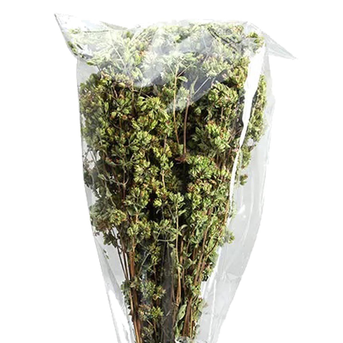 Verwöhne deine Sinne mit unserem getrockneten wilden kalabresischen Oregano! Genieße den authentischen Geschmack und die Aromen der mediterranen Küche. Jetzt kaufen und deine Gerichte auf ein neues Level heben!