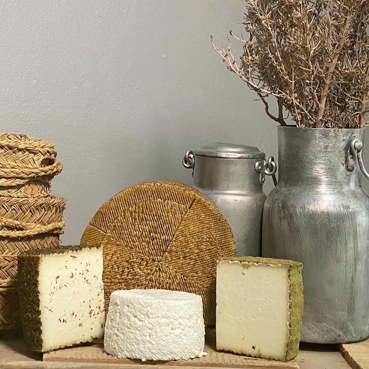 Quesos Quesí handwerklich hergestellter Ziegenkäse aus Spanien verschiedene Geschmacksrichtungen